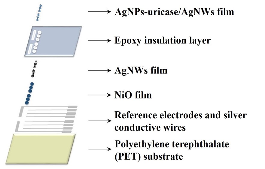 Office of Research and Development