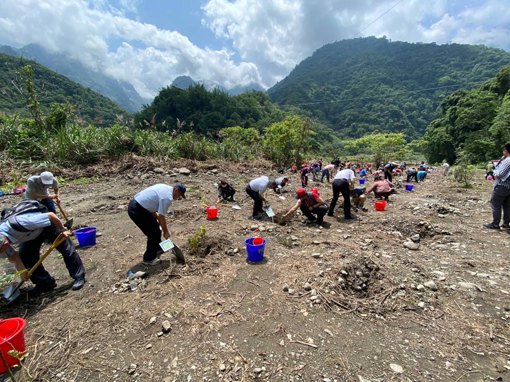 植樹活動現況