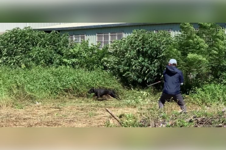 United Daily News Group (UDN Group)/Economic Daily News (EDN)