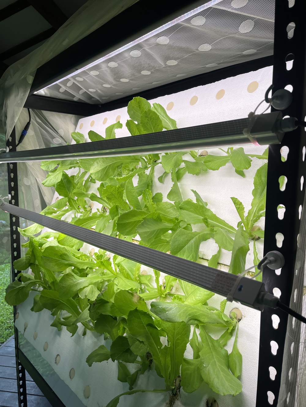 Office of Research and Development